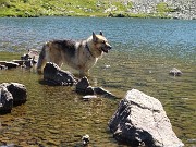 24 Che bello nell'acqua fresca del Lago di sopra